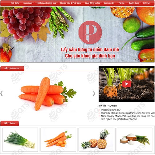 Hình ảnh của Thiết kế website PD Vina