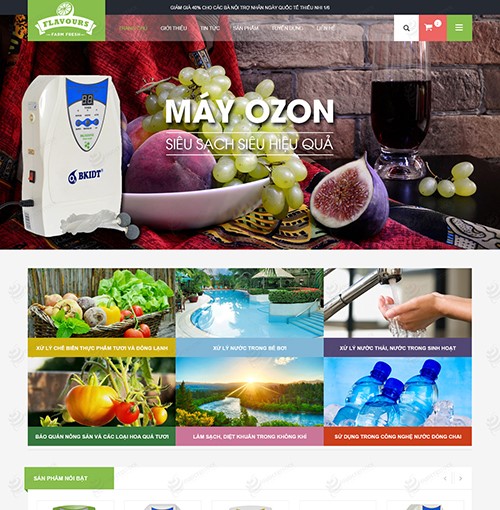 Hình ảnh của Thiết Kế Website Máy ozon