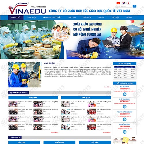 Hình ảnh của Thiết kế website Công ty VinaEdu
